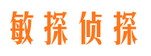 顺平侦探